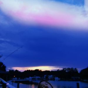 Meet your Posher, Cheyenne